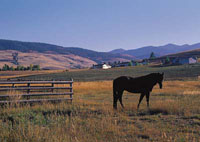 Horse Mountains