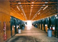 Stables